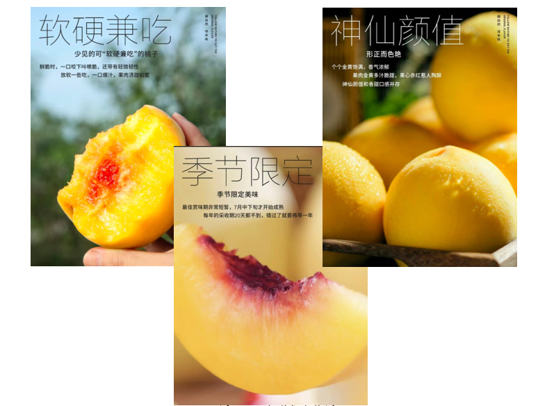 b68f658a7a30c43ef9db214bd508f7c9.png b68f658a7a30c43ef9db214bd508f7c9.png